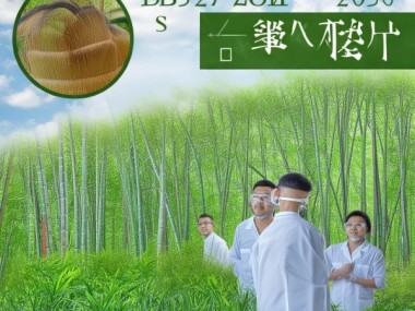 毛竹笋用林经营技术规程解读及实践应用分析