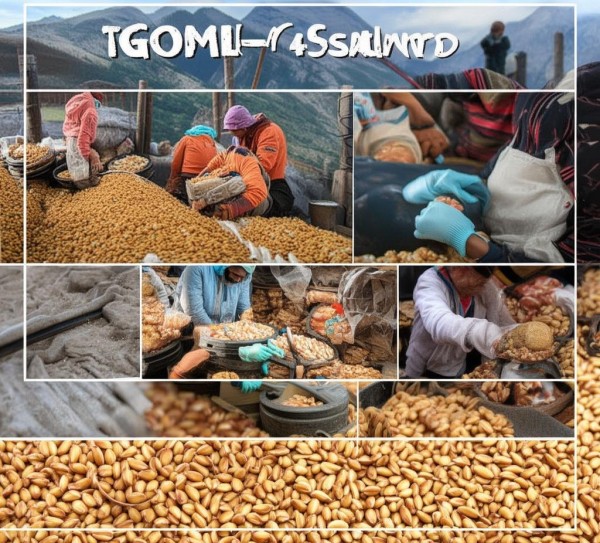T/QGCML 458-2022标准引领下手剥松子产业升级发展探究,T/QGCML 458-2022 标准下的手剥松子产业发展与挑战,2022,技术创新,可持续发展,第1张